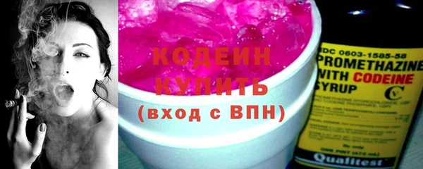 дмт Бородино