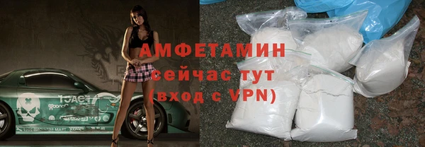 дмт Бородино