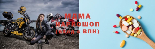 дмт Бородино
