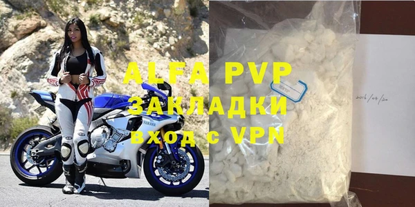 дмт Бородино