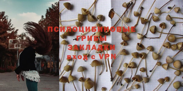 ПСИЛОЦИБИНОВЫЕ ГРИБЫ Бугульма