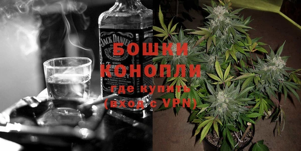 дмт Бородино