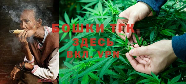 ПСИЛОЦИБИНОВЫЕ ГРИБЫ Бугульма