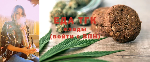 дмт Бородино