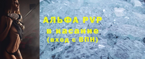дмт Бородино