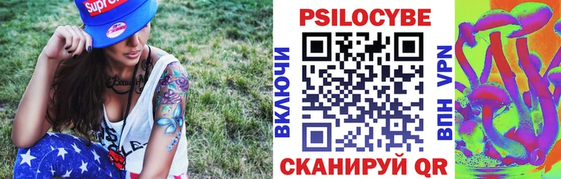 купить наркотик  Гуково  kraken ССЫЛКА  Псилоцибиновые грибы Psilocybine cubensis 